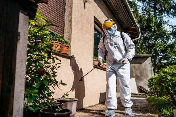 Professional Pest Control in Colona, IL