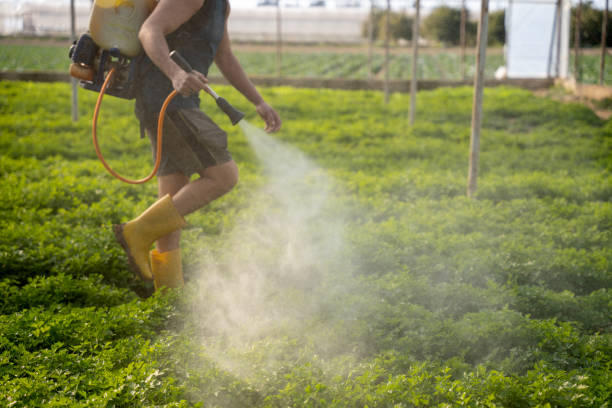 Best Best Pest Control Companies  in Colona, IL